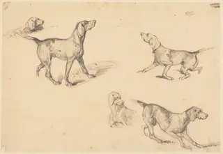 Five Studies of a French Pointer, by Richard Parkes Bonington, graphite, 1826