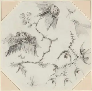 Fanciful Flowers and Bugs, by Jean-Baptiste Pillement, chalk, 1768