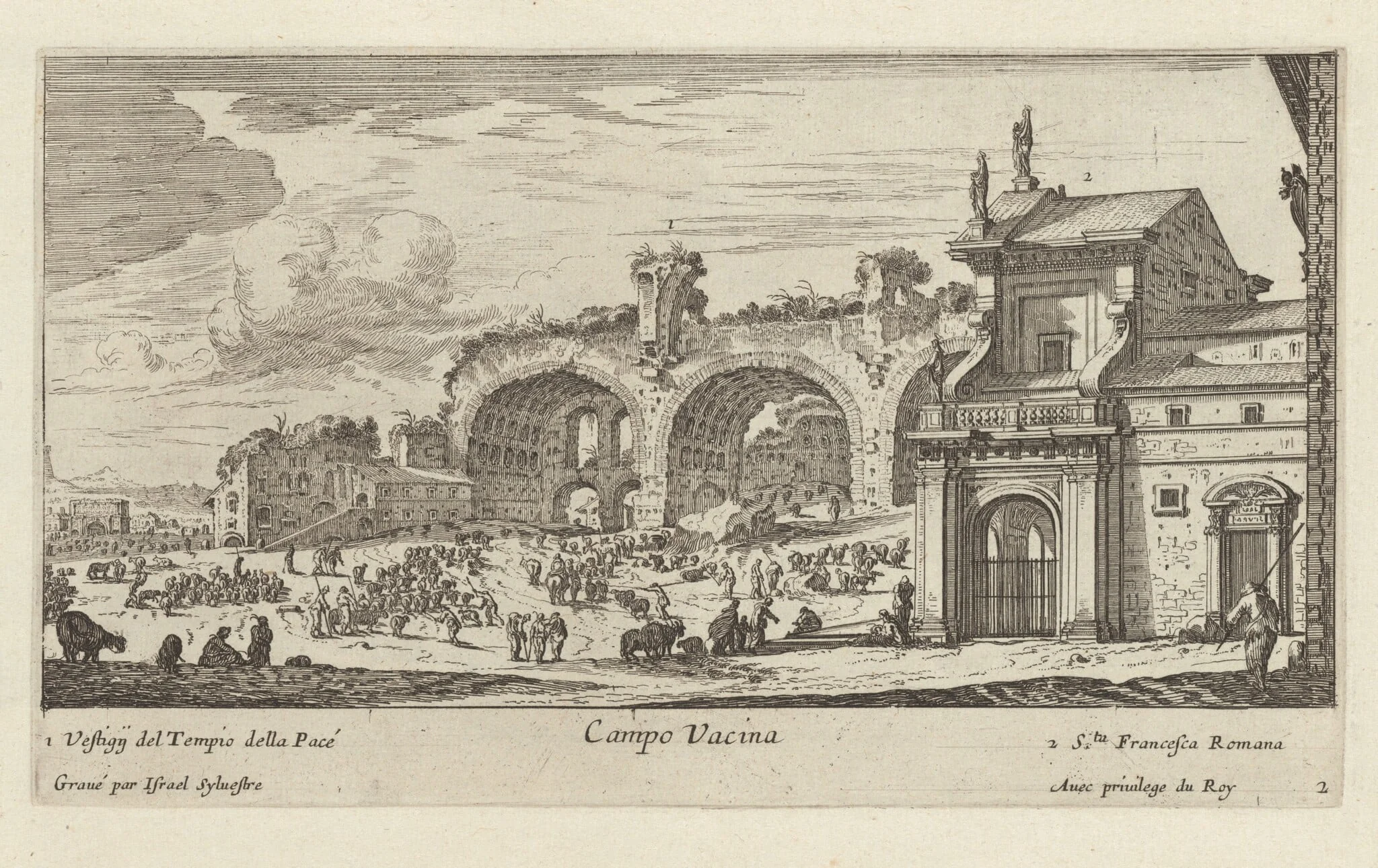 Campo Vacina, detail