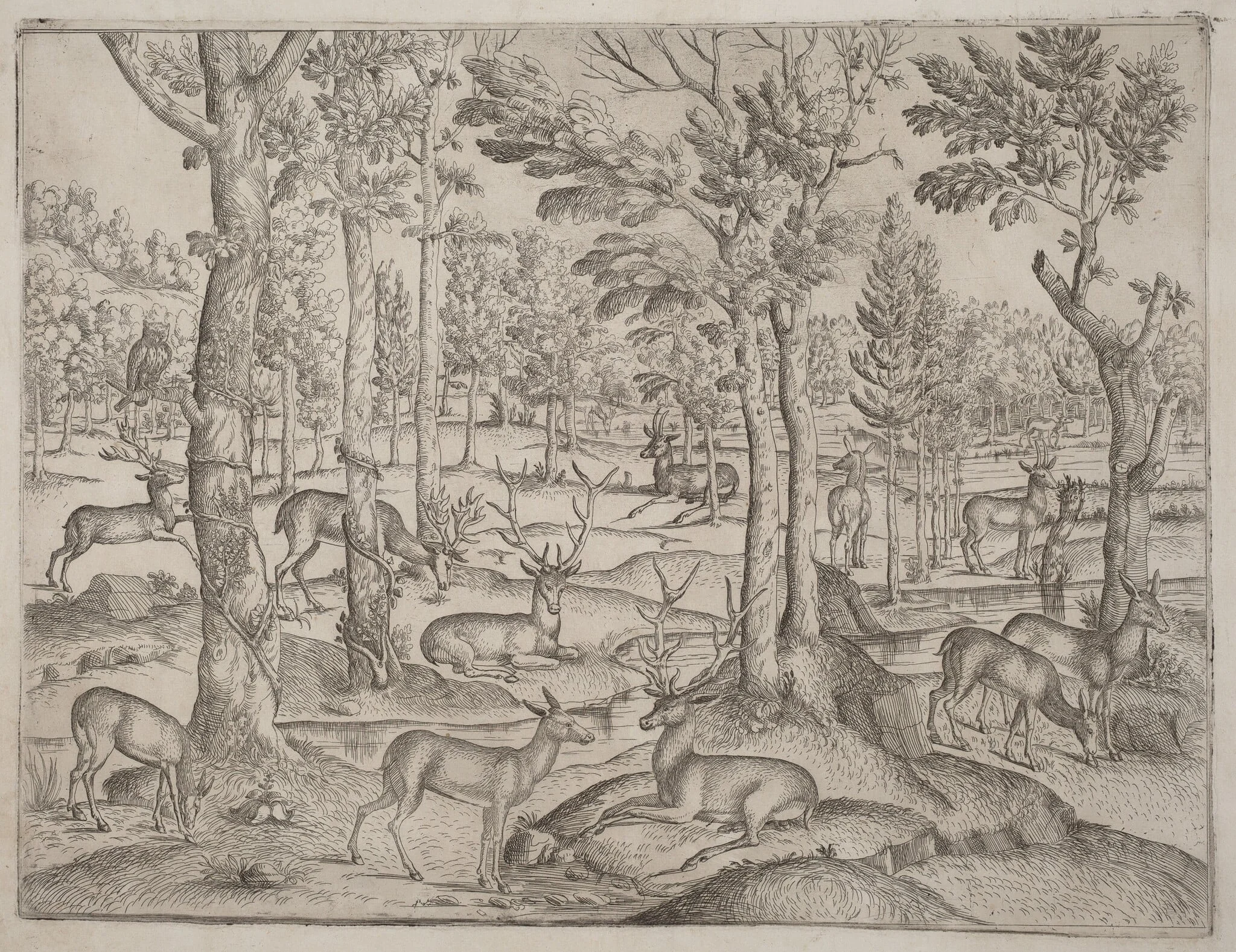 Deer in the Forest, detail