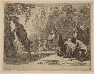 Goats, by Herman van Swanevelt, ink, 1628
