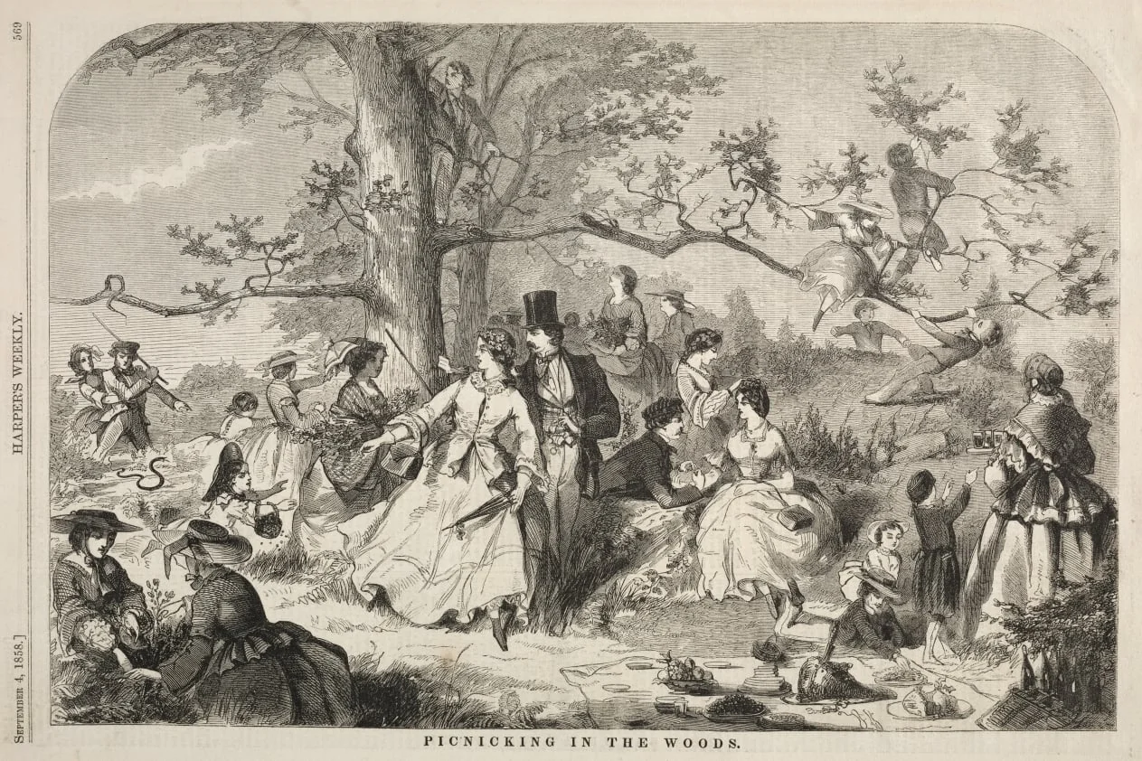 Picknicking in the Woods, detail