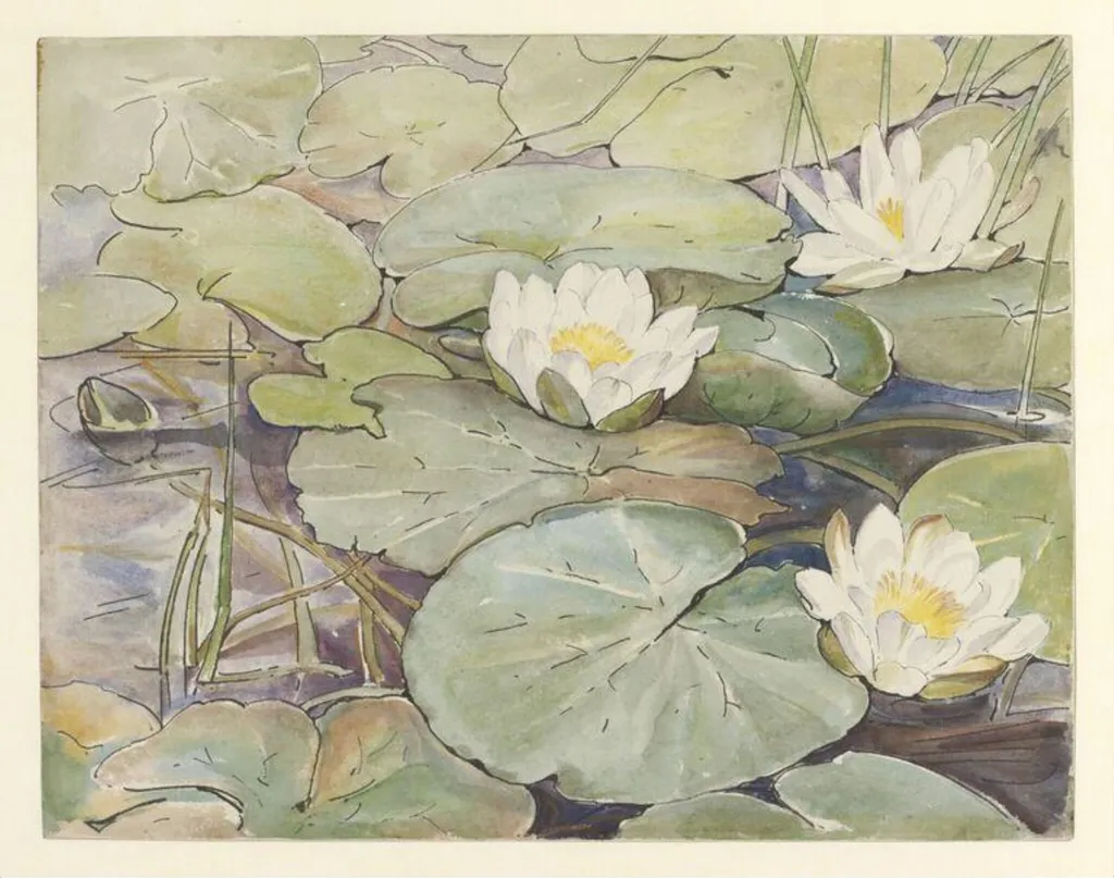 Untitled, by Beatrix Potter, watercolor, 1906