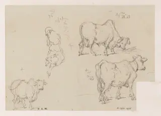 Three drawings of a cow, and one of a dog, by George Chinnery, 12