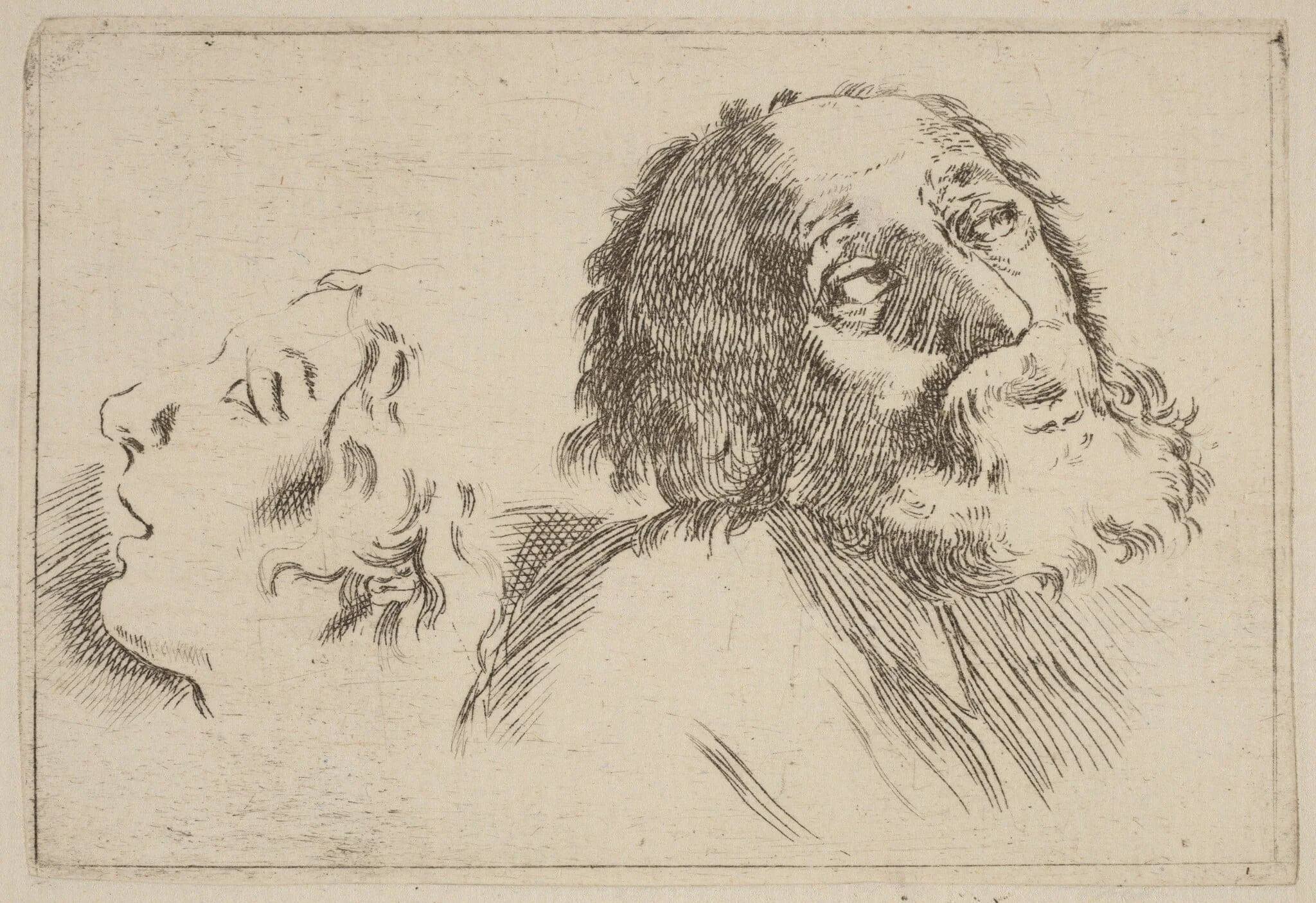 Study of Heads, One Turned to the Right and the Other Turned Left, detail