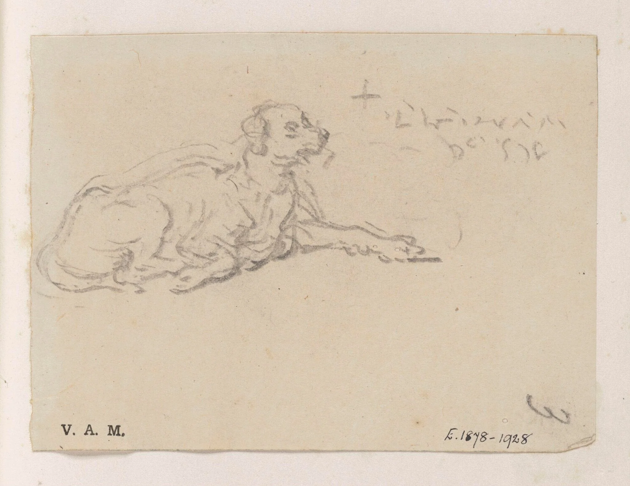 A reclining dog, detail
