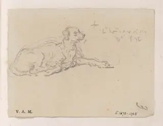 A reclining dog, by George Chinnery, 19