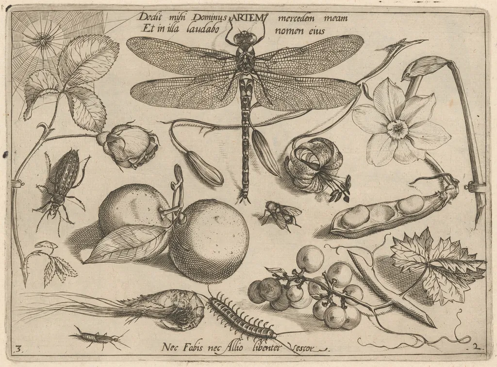Archetypa studiaque patris Georgii Hoefnagelii [Part 2, Plate 3], by Jacob Hoefnagel, ink, 1592