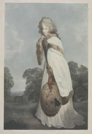 H Beard Print Collection, by T Laurence, 1