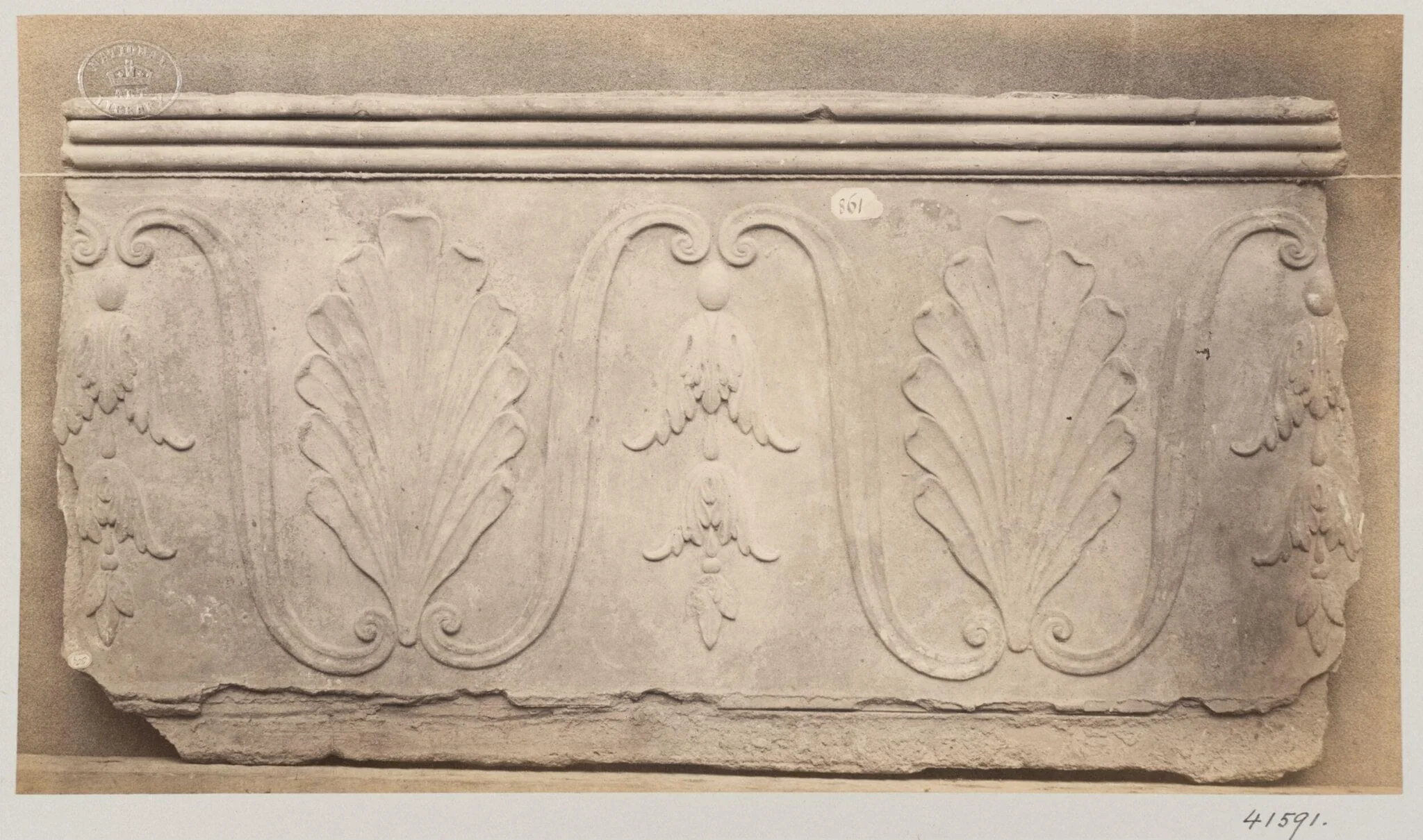 Bas-relief of a portion of a frieze depicting a palmetto and foliage in terra cotta, detail