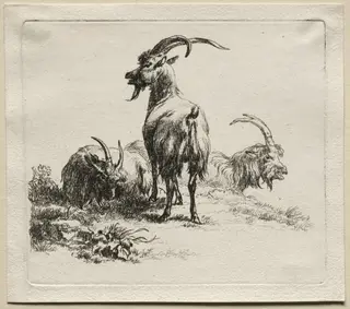 Animalia: Three Goats, by Nicolaes Pieterszoon Berchem, 1659