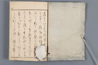 Atlas kwiatów i ptaków rysowanych z natury, by 北尾 重政 Kitao surname Shigemasa name