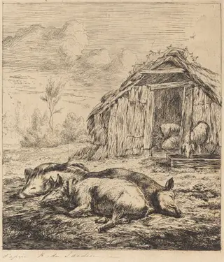 Les trois cochons couchés devant l'étable (Three Swine Lying In Front of a Sty), by Charles Meryon, ink, 1850