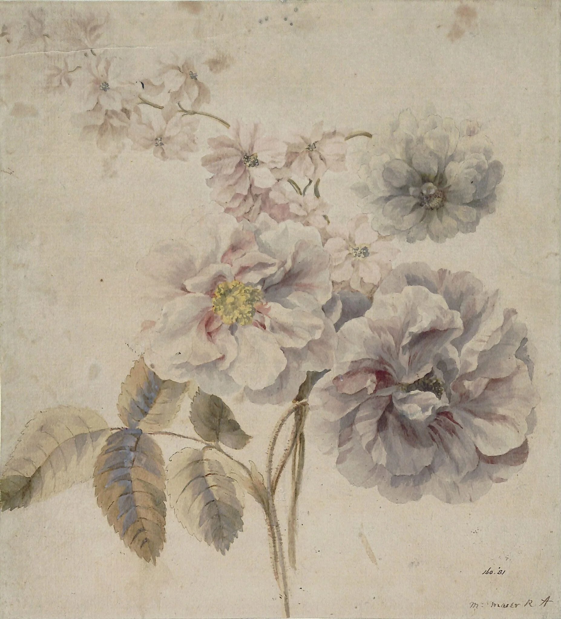 Roses, and other flowers, detail