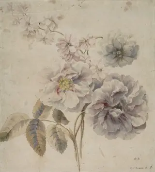 Roses, and other flowers, by Mary RA Moser, watercolor, 1770