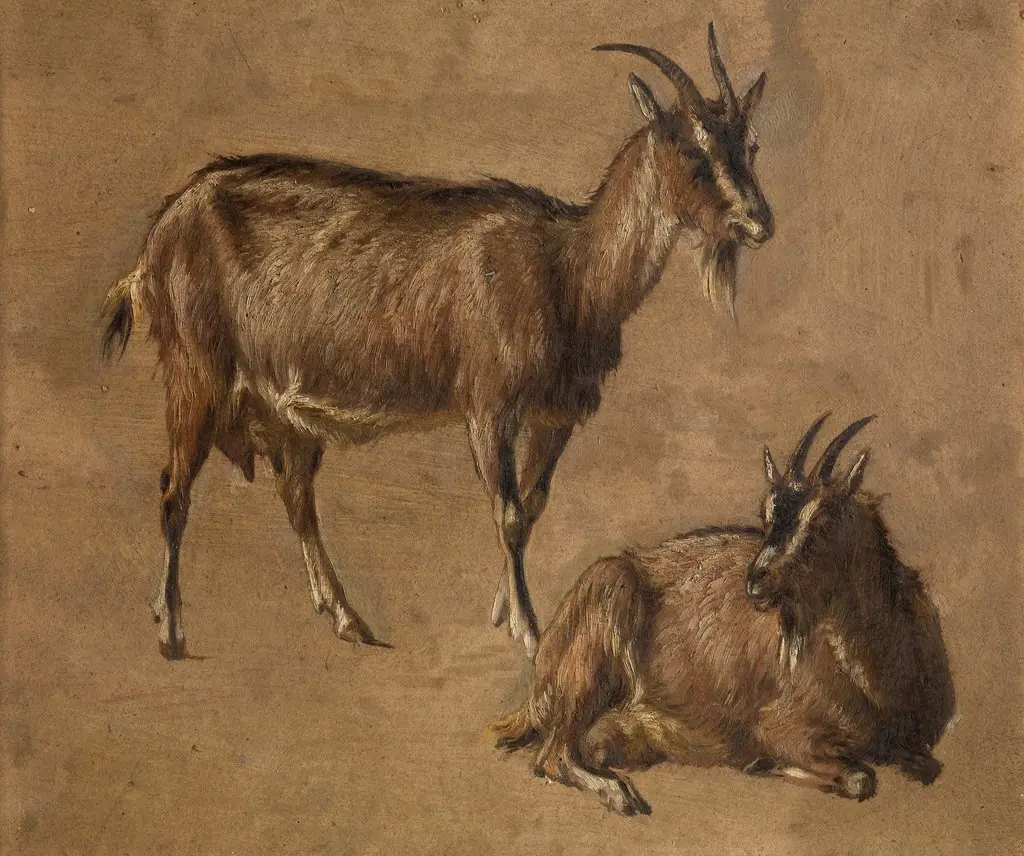 Goats, by André Plumot, unspecified, 1877