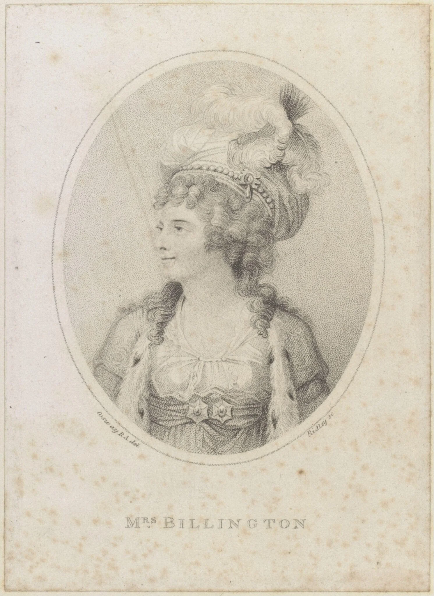 H Beard Print Collection, detail