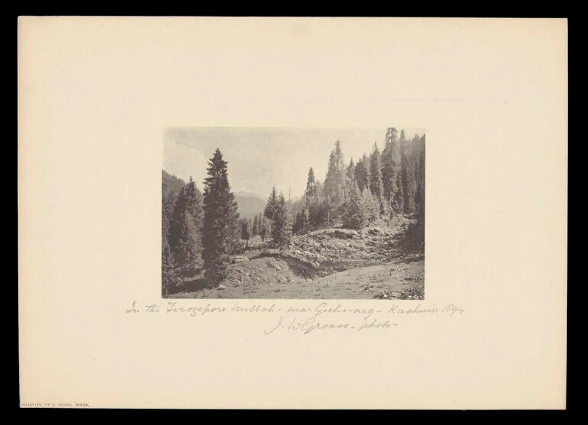 In the Ferozepur Nallah, near Gulmarg, Kashmir, detail