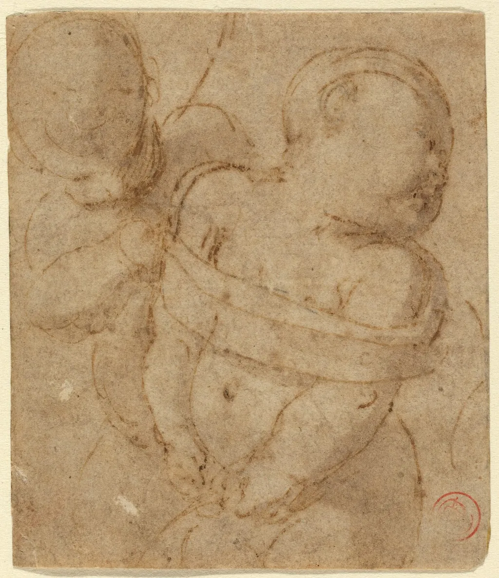 Cupid Bound, by Raphael, ink, 1502