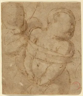 Cupid Bound, by Raphael, ink, 1502