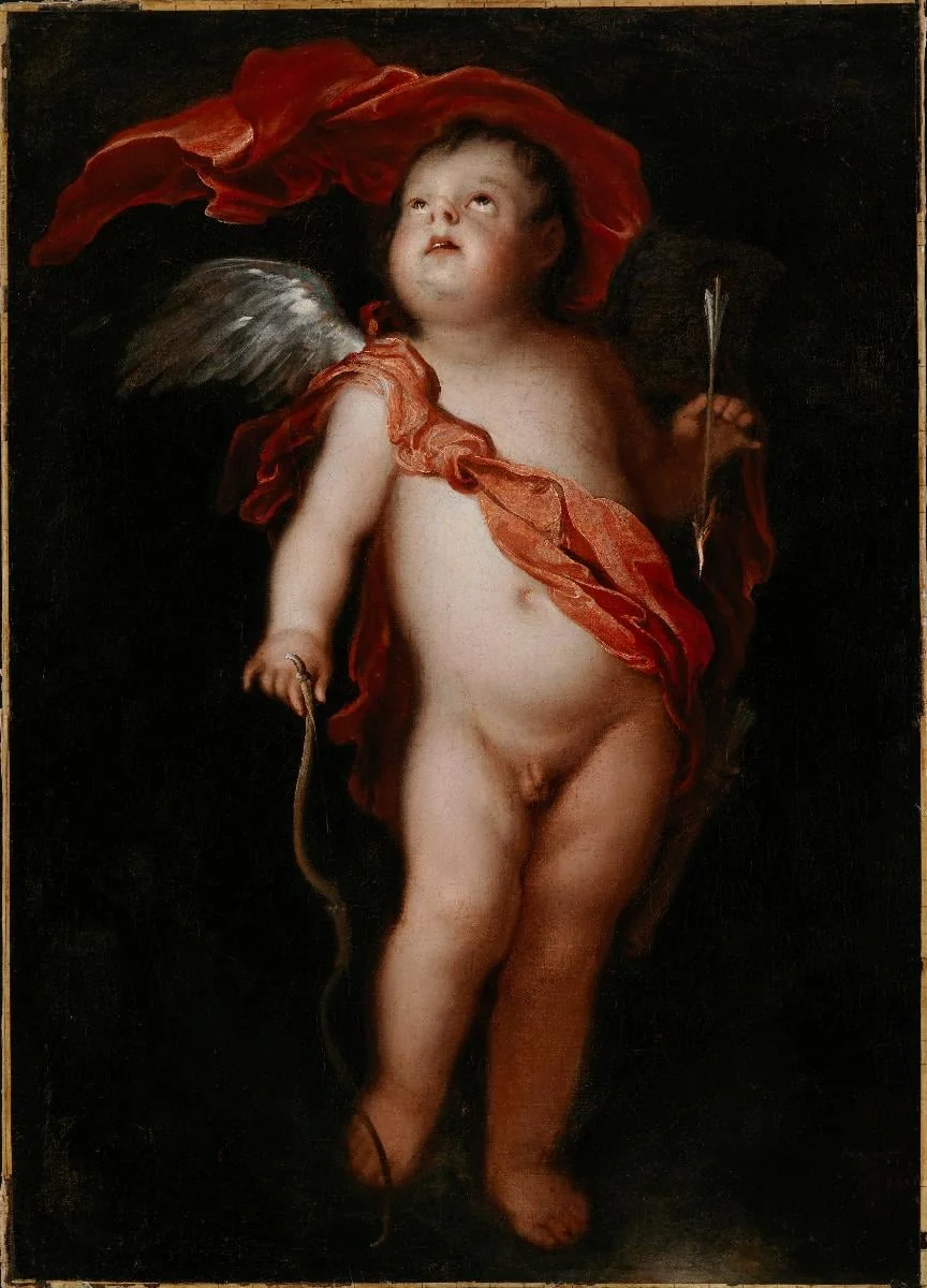 Amor jousineen, detail