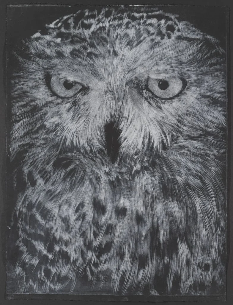 Untitled, detail