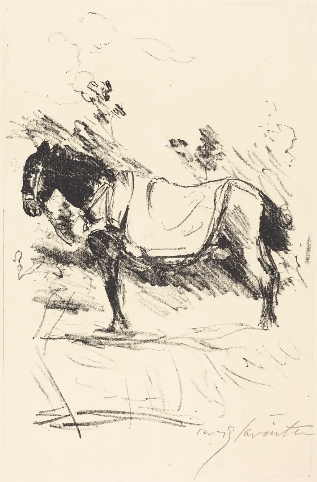 Reitpferd (Riding-Horse), by Lovis Corinth, ink, 1916