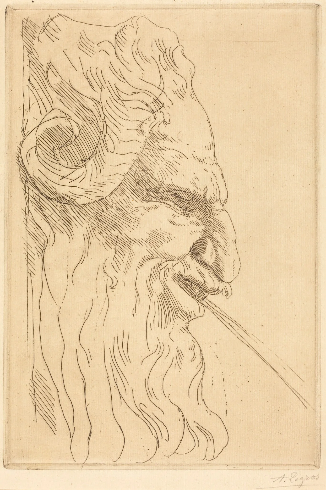 Head of a Satyr (Tete de satyre), detail