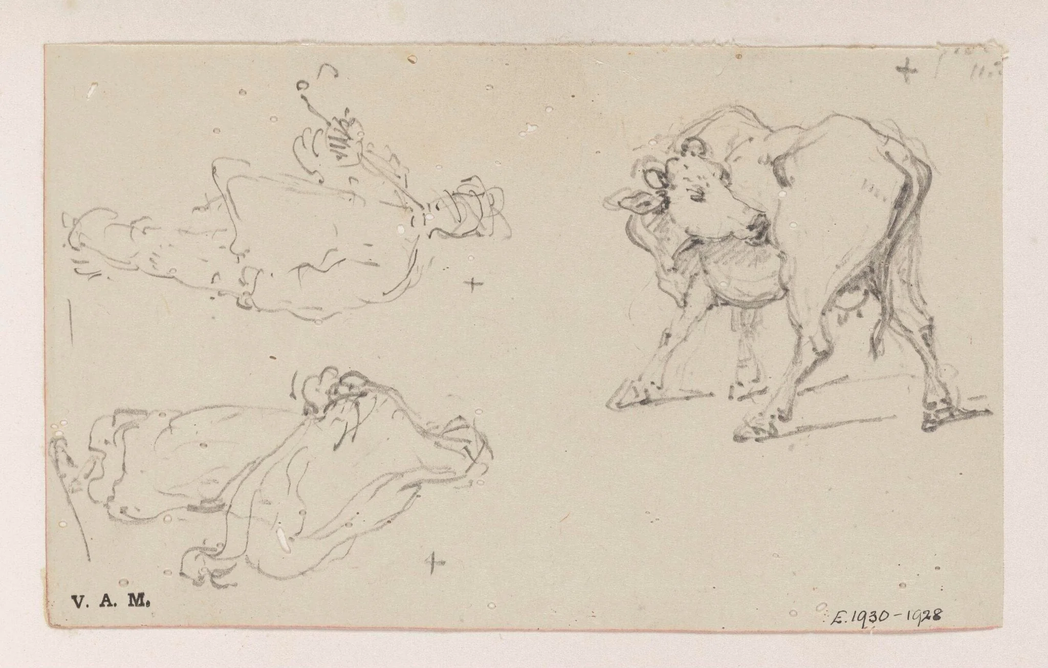 Two figure studies, and a calf, detail