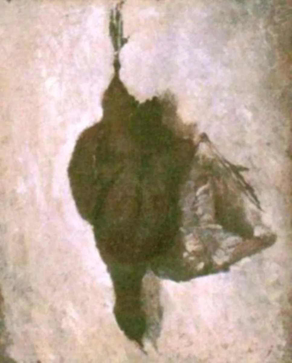 Vânat, detail