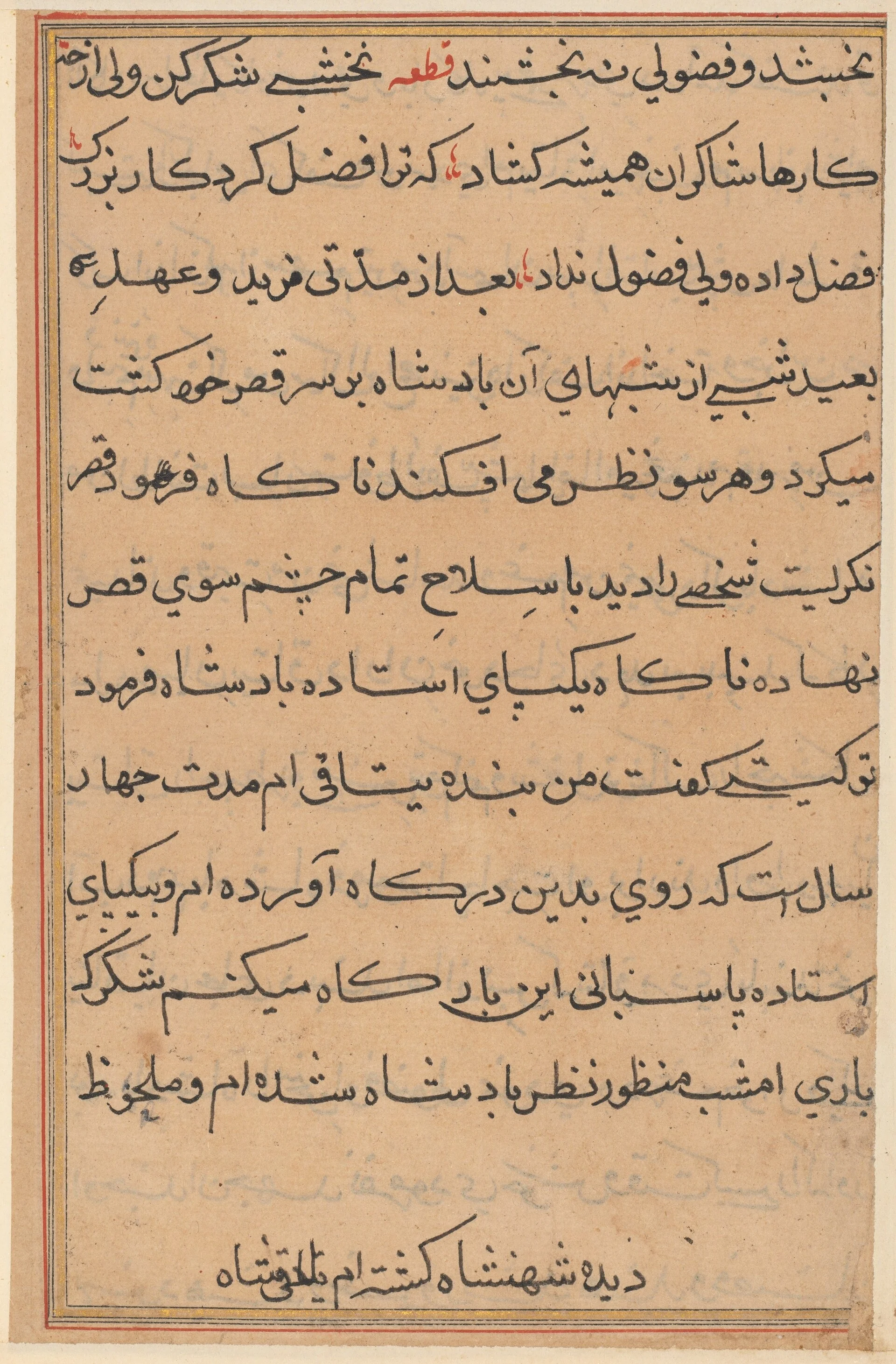 Page from Tales of a Parrot (Tuti-nama): text page, detail
