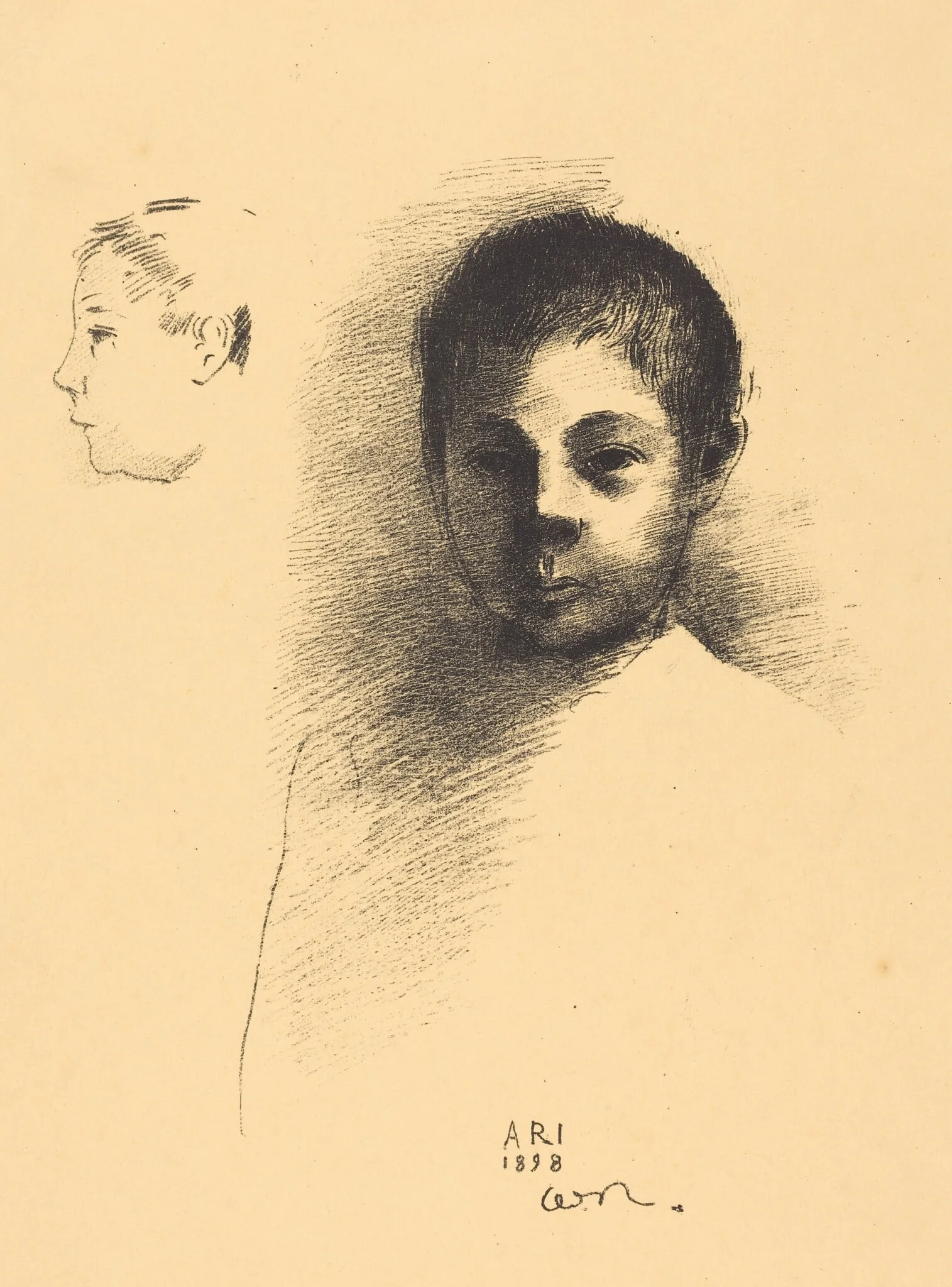 Ari, detail