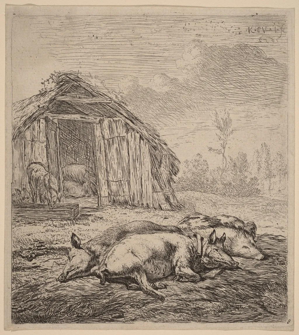 Three Pigs, by Karel Dujardin, ink, 1652