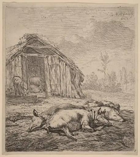Three Pigs, by Karel Dujardin, ink, 1652