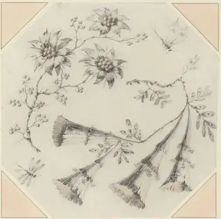 Trumpet Flowers and Daisies, by Jean-Baptiste Pillement, chalk, 1768