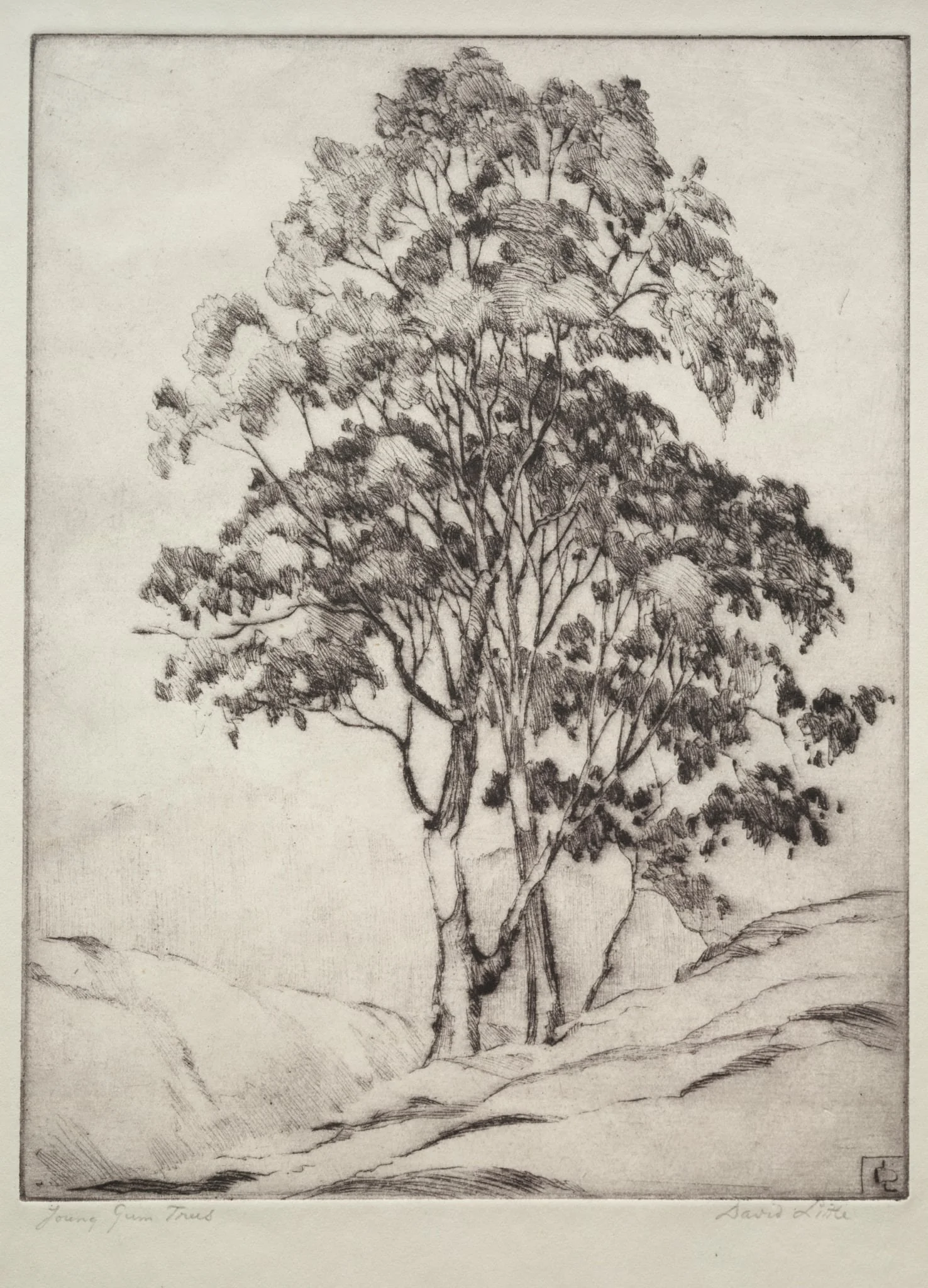 Young Gum Trees, detail