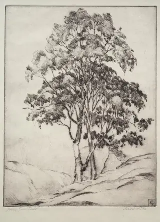 Young Gum Trees, by David Little, 1932