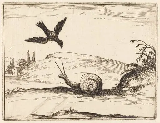 Crow and Snail, by Jacques Callot, ink, 1628