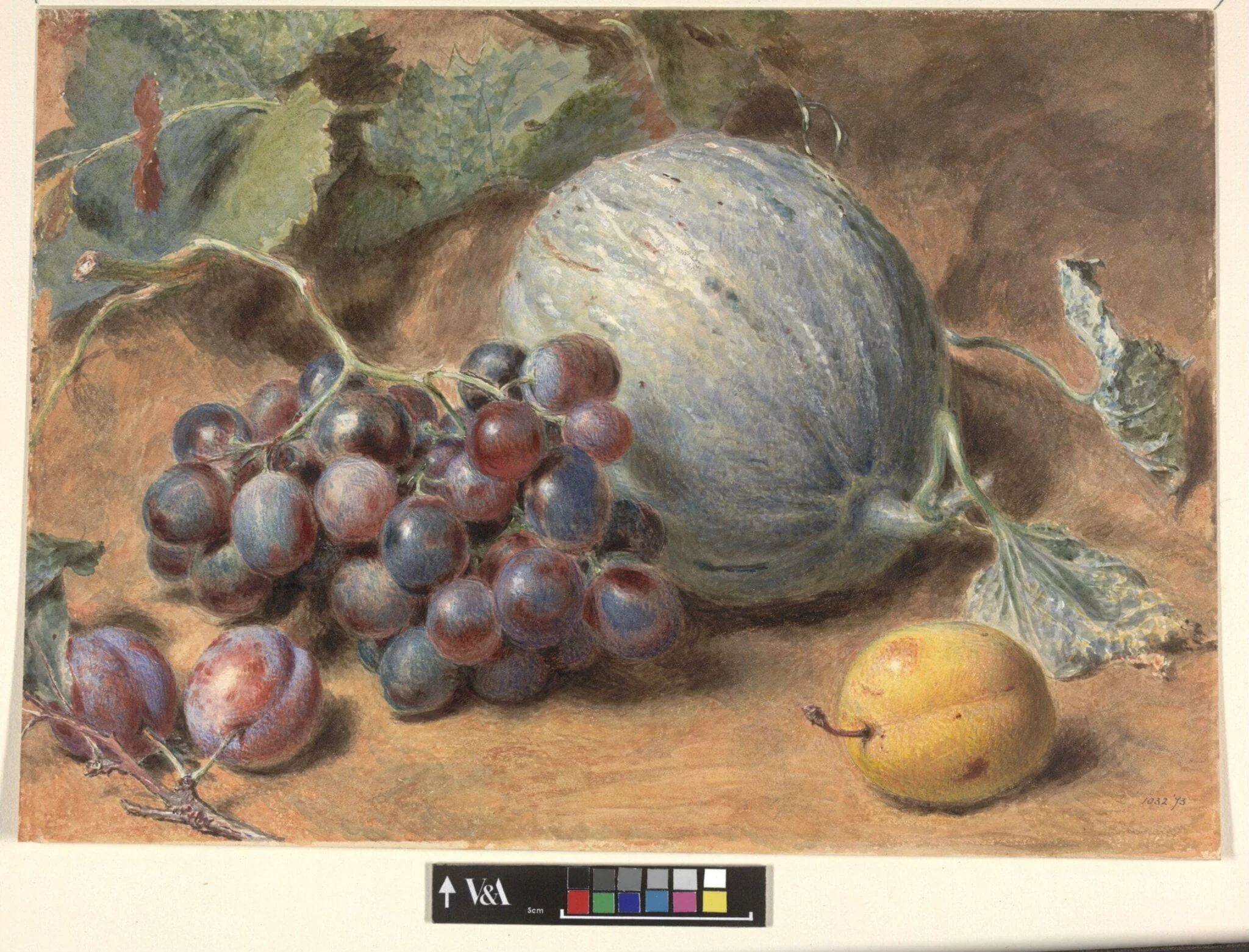 Grapes, a Melon and Plums, detail