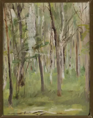 Maryino – grove, by Jan Ciągliński, unspecified, 1895