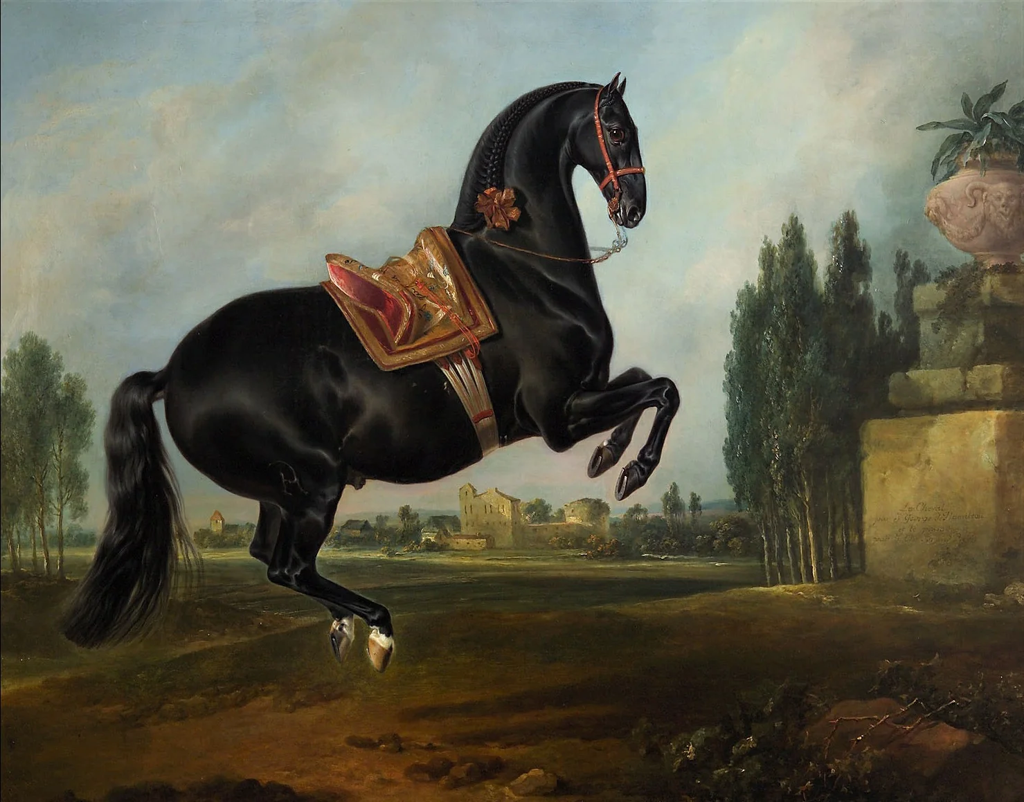Kladruber Hengst "Gitano", detail