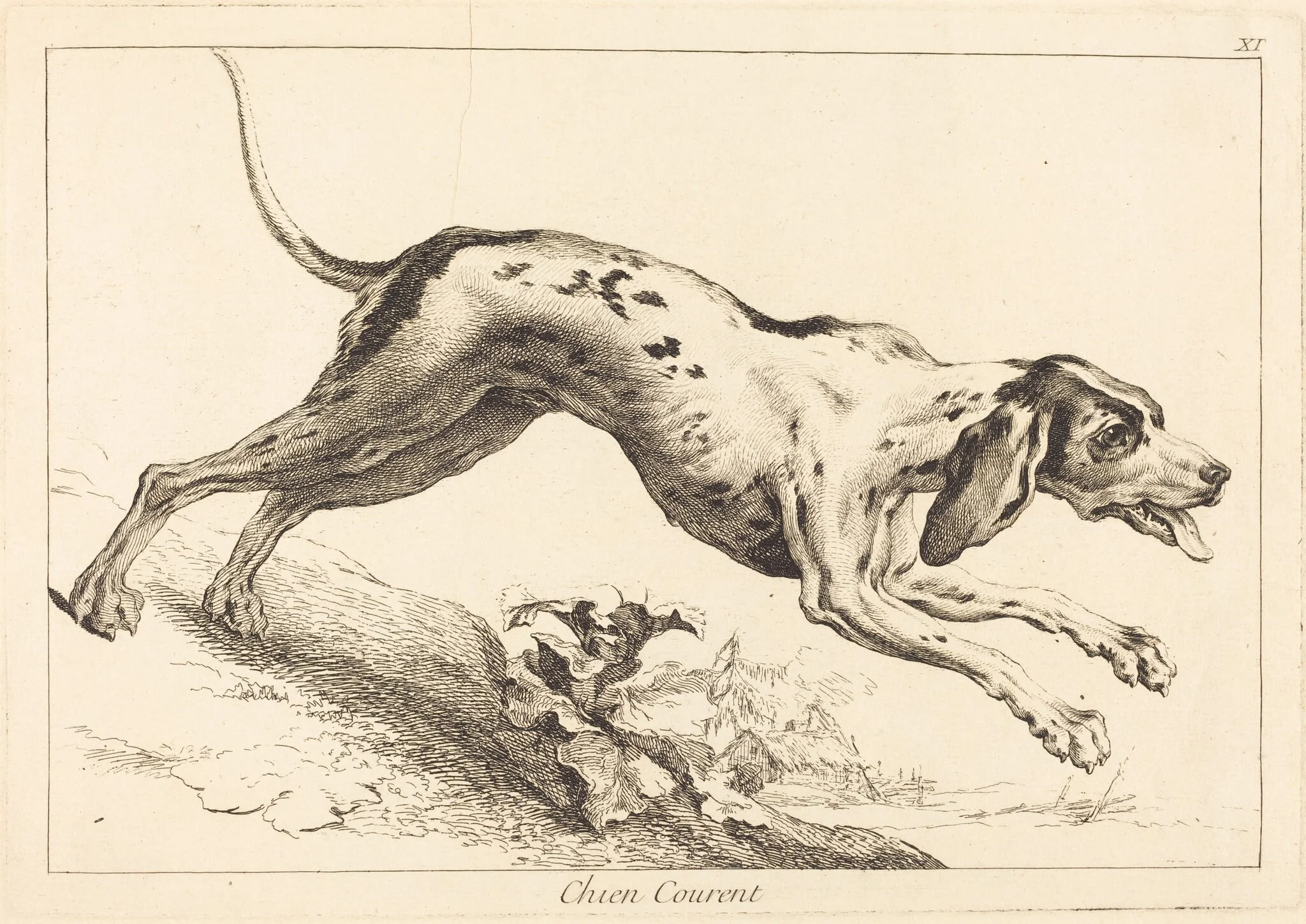 Chien courent (Running Hound), detail