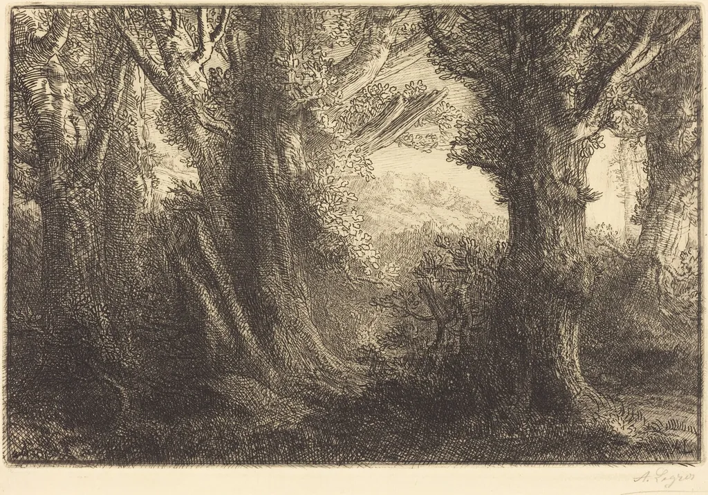 In the Forest of Conteville  (Dans la foret de Conteville), by Alphonse Legros, ink, 1874