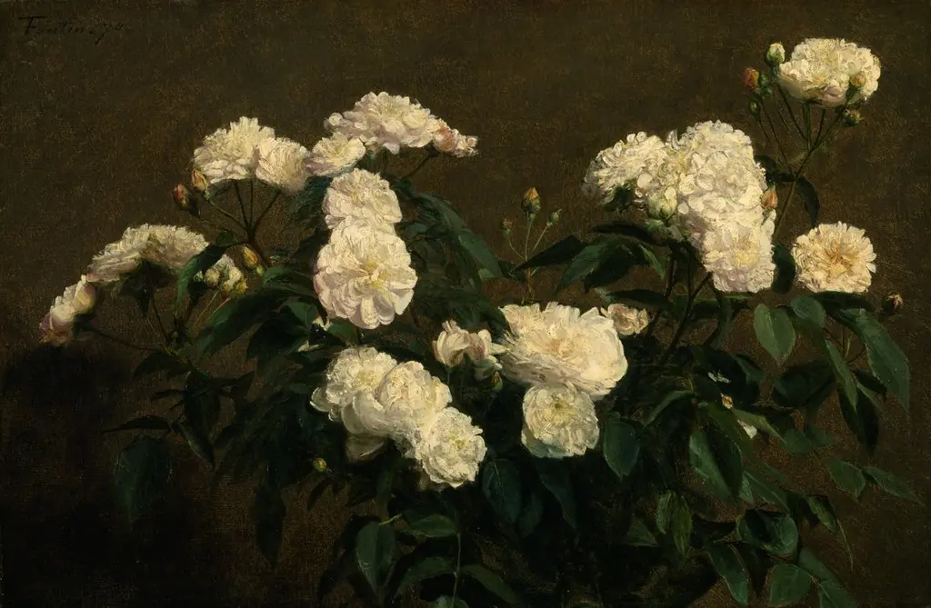Still Life of White Roses, by Henri Fantin-Latour, oil, 1870