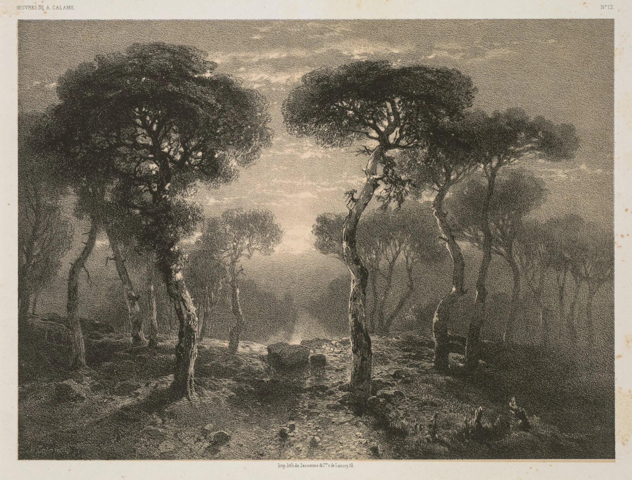 Oeuvres de A. Calame, No. 13: Forêt de Sierre en Valais, detail