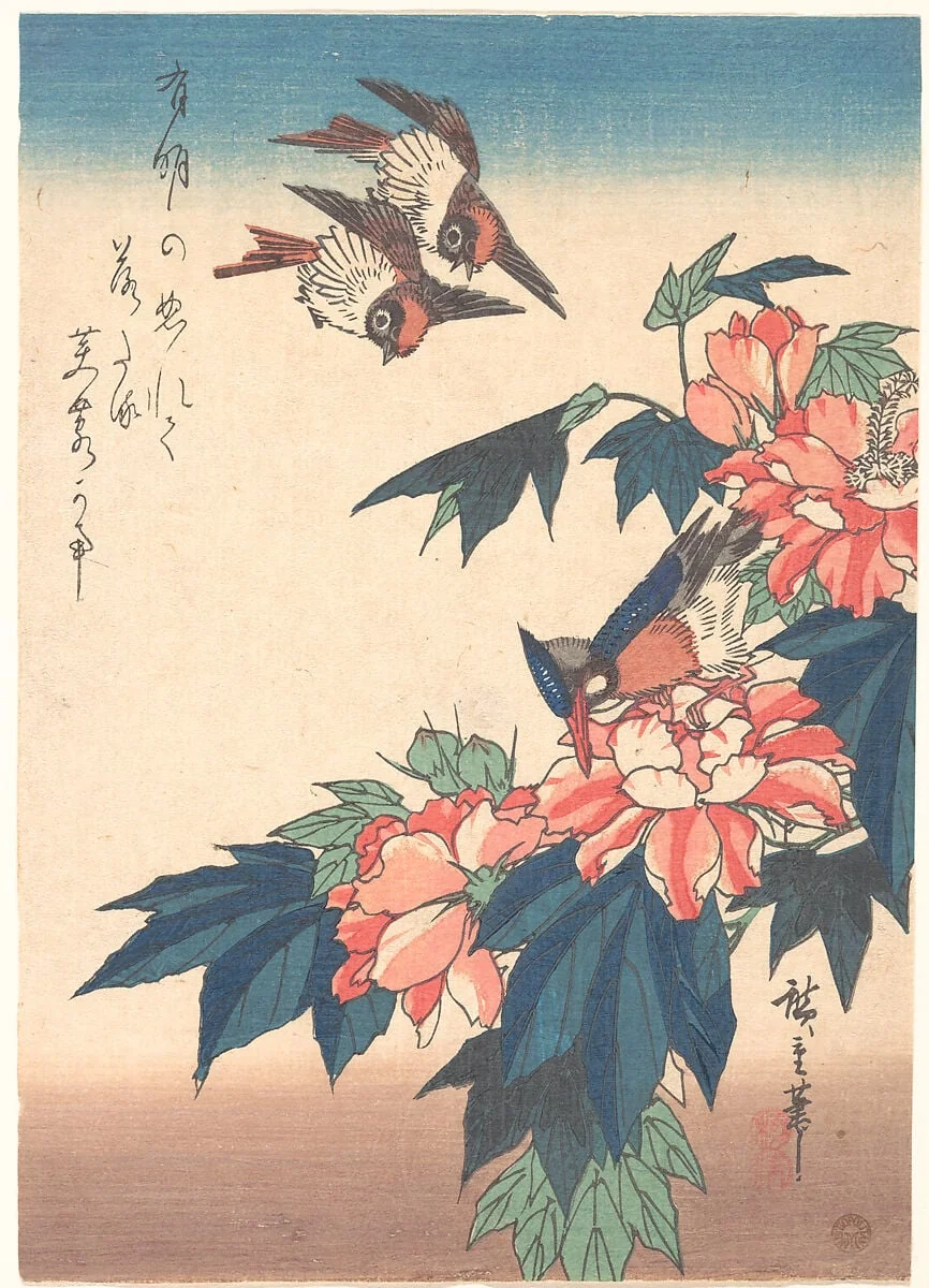 紅蜀葵に燕と川蝉図|Swallows and Kingfisher with Rose Mallows, detail