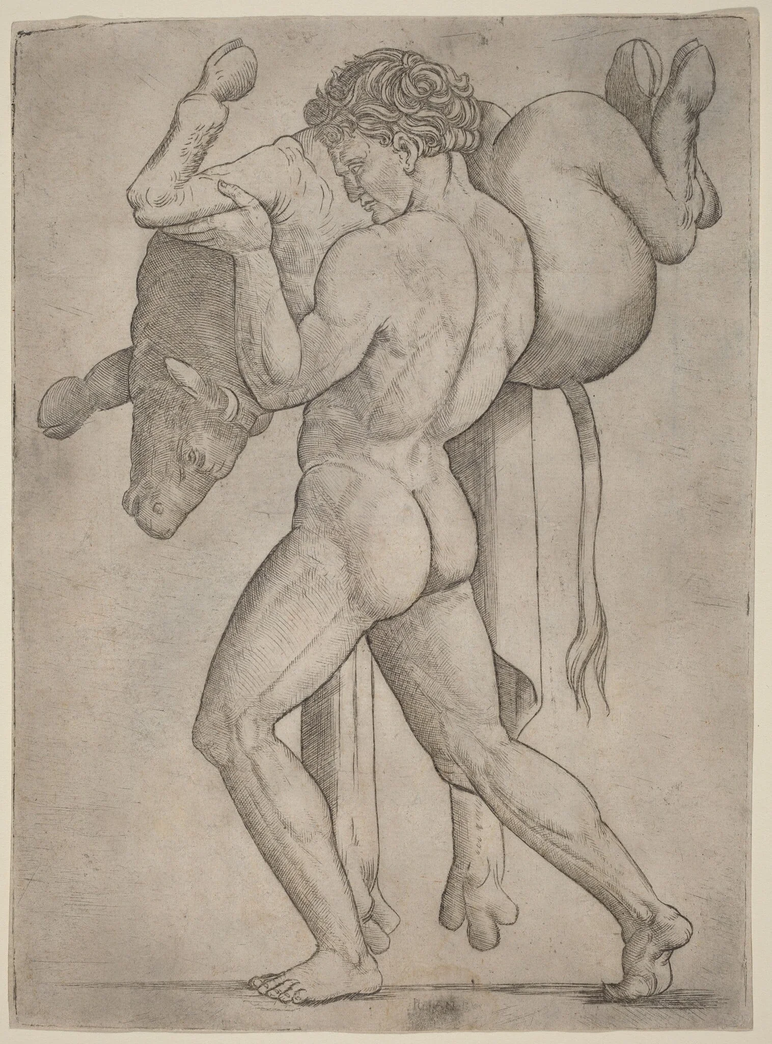 Hercules and the Cretan Bull, detail