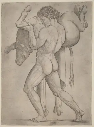 Hercules and the Cretan Bull, by Giovanni Antonio da Brescia, ink, 1514