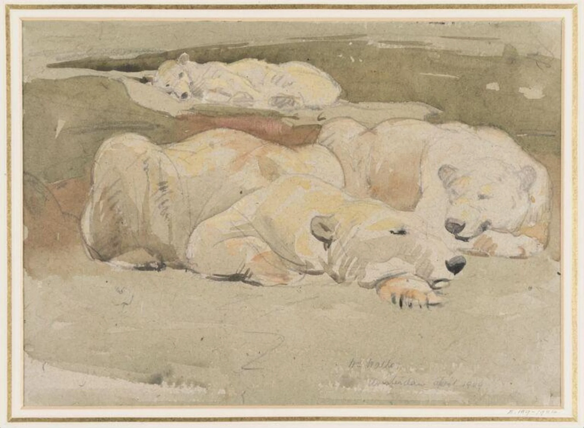 Polar Bears asleep, detail