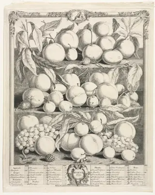 Twelve Months of Fruit:  August, by Henry Fletcher, 1732